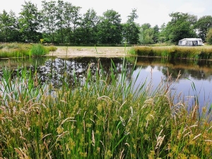 boerderijcamping in Friesland